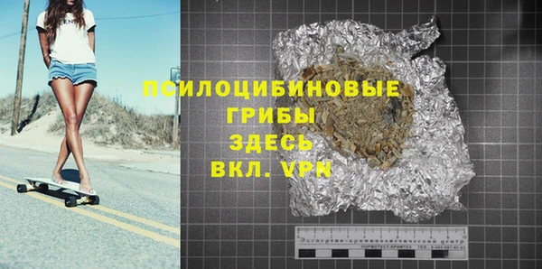 гидропоника Бородино