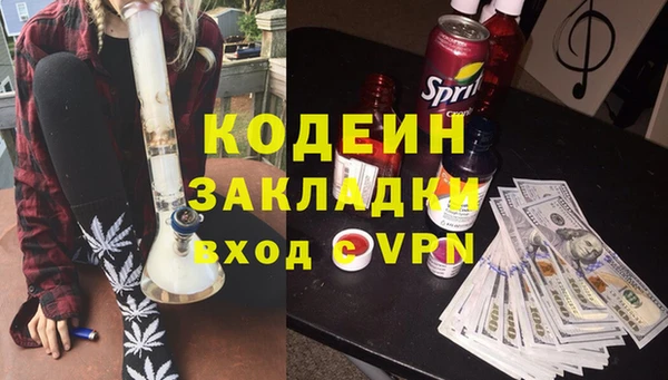 дживик Богородицк