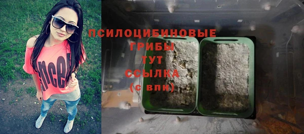 бутират Богданович
