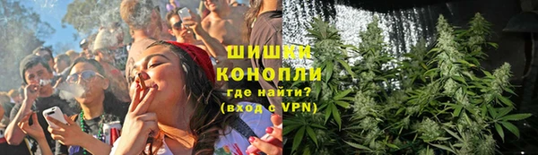гидропоника Бородино