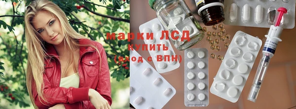 гидропоника Бородино