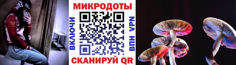 Галлюциногенные грибы мухоморы  hydra ТОР  Кимовск 